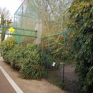 Out-side Lemur Walk-through