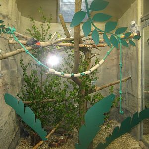 Riga Zoo - Reptile house - Parrot exhibit