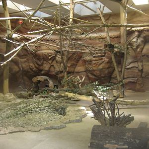 Riga Zoo - Reptile house - Meerkat/hyrax exhibit