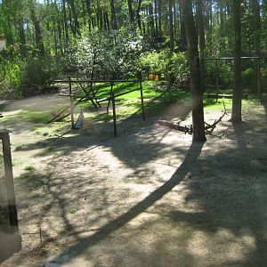 Riga Zoo - Peafowl/stork aviary
