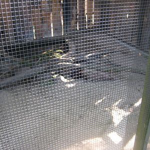 Riga Zoo - European mink exhibit