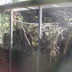 Riga Zoo - Flying squirrel exhibit