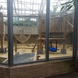 Second Orangutan indoor enclosure