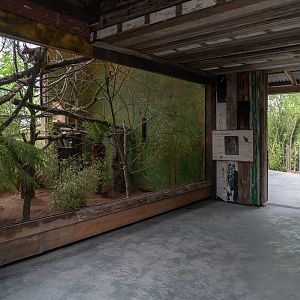 Tree Kangaroo / Dusky Pademelon Exhibit - 25/05/2018