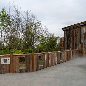 Tree Kangaroo / Dusky Pademelon Exhibit - 25/05/2018