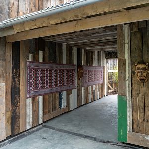 Tree Kangaroo / Dusky Pademelon Exhibit - 25/05/2018