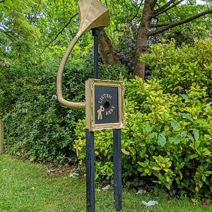 Wild Worlds - Celebritrees - 25/05/2018