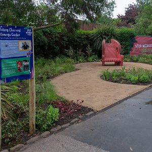 Wild Worlds - Talking Chairs - 25/05/2018