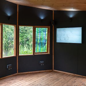 Wild Worlds - Awekids - 25/05/2018