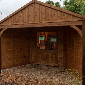 Wild Worlds - Awekids - 25/05/2018