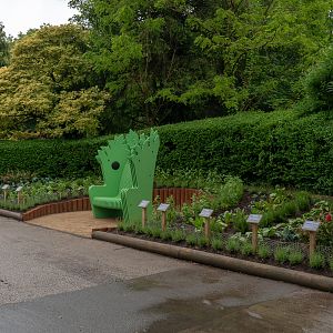 Wild Worlds - Talking Chairs - 25/05/2018