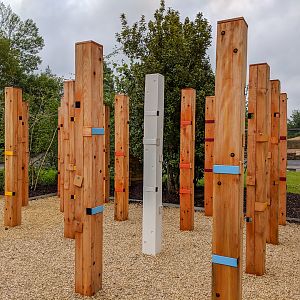 Wild Worlds - Dormouse Garden - 25/05/2018