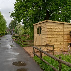 Wild Worlds - Honey Bee Garden - 25/05/2018