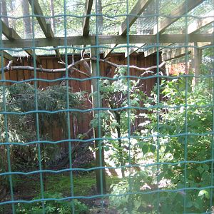 Riga Zoo - Owl aviary #1
