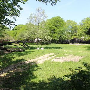 Addax Yard - Habitat Africa! The Savannah