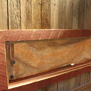 Future Chinese Giant Salamander Exhibit - The Swamp