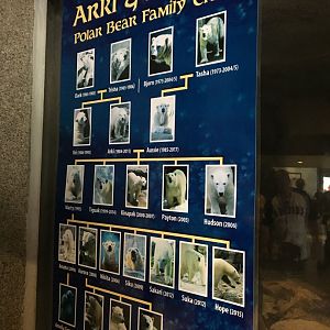 Temporary sign on Arki and Aussie's family tree