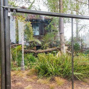 Matschie's tree kangaroo exhibit