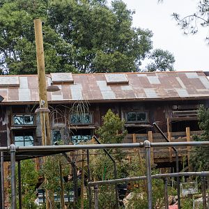 Australian sheep station