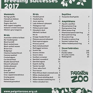 Paignton 2017 breeding summary