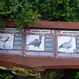 Dvur 05/2018: Signage examples