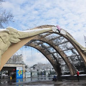 2018-01-26 Arch of Shanghai Zoo in snow