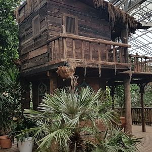 Observation-shed in Tropical Hall