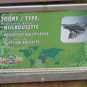 Sign Egyptian rousette