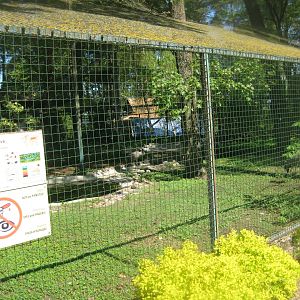 Riga Zoo - Common crane aviary