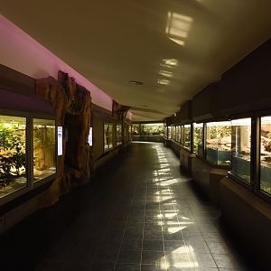 Reptile corridor