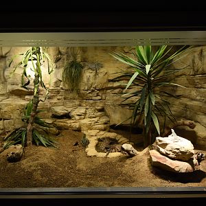 Terrarium example