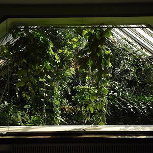 View into crocodile hall