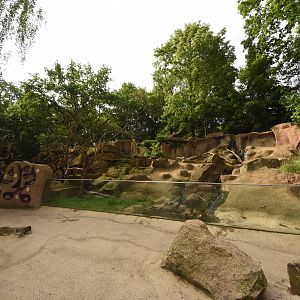 Tree porcupine and Prairie dog enclosure