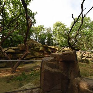 Tree porcupine and Prairie dog enclosure