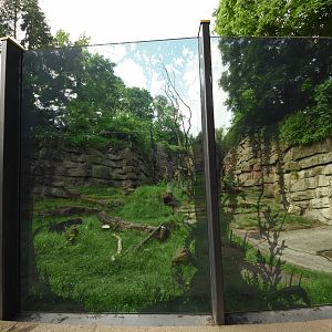 Spectacled bear enclosure