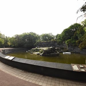 Polar bear enclosure