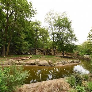 Striped hyena enclosure