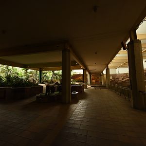 Inside the pachyderm house