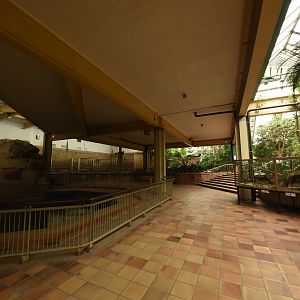 Inside the pachyderm house