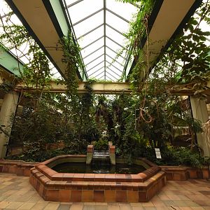 Entrance to the pachyderm house