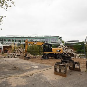 Alfred-Brehm house under renovation