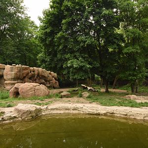 Spotted hyena enclosure