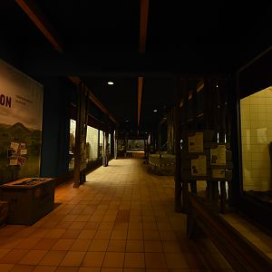 Monkey house indoors