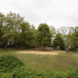Sichuan takin enclosure