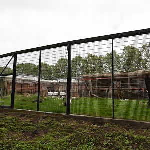 Primate house under renovation