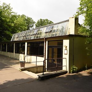 Malayan sun bear house
