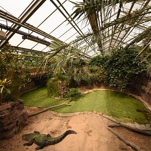 Crocodile house
