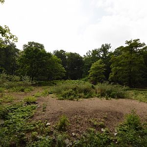 Chacoan peccary enclosure