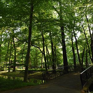 Bridge next to deer enclosures