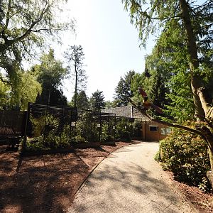 Bird of Paradise aviaries